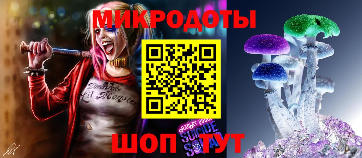 Пугачёв  Псилоцибиновые грибы MAGIC MUSHROOMS  Вход с VPN  Галлюциногенные грибы GOLDEN TEACHER 