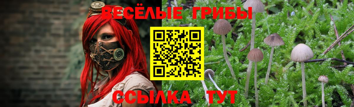 Псилоцибиновые грибы ЛСД Пугачёв